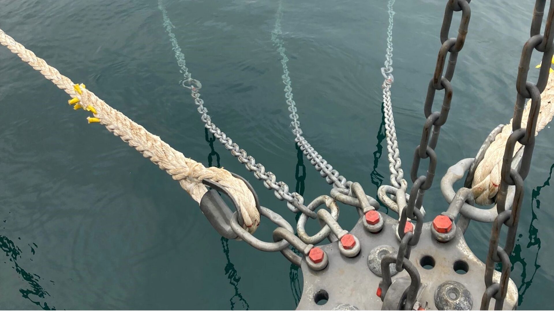 Bridle for Aquaculture