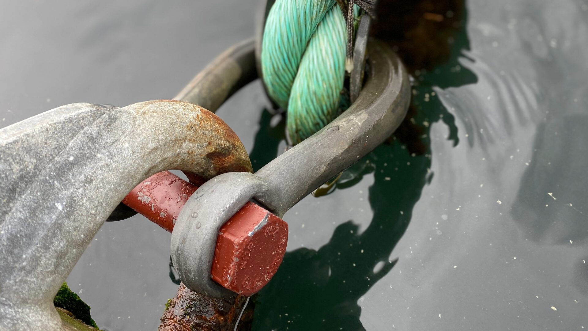 Easy Handling and Superior Quality Mooring Shackle